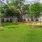 Dog Park Austin