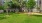 Dog Park Austin