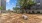 Dog Park Austin